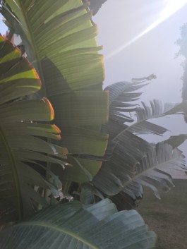 katrin van skyhawk. styling